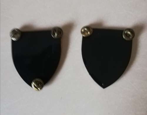 1 Paratrooper regiment flashes
