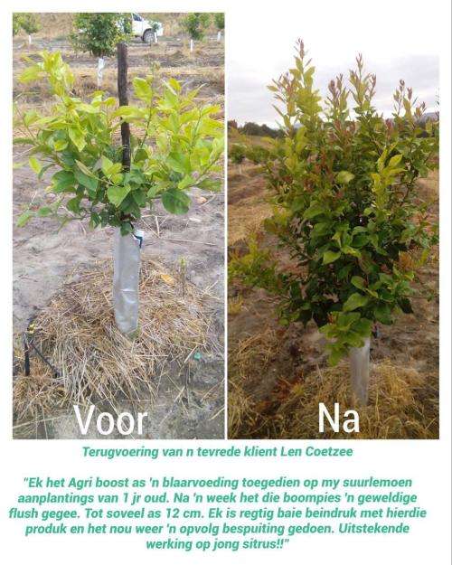 Agri-Boost (3 in 1) : 100% Bio-Organic Liquid Fertiliser (Dilute 1:200) Growth Stimulant 5 Liter