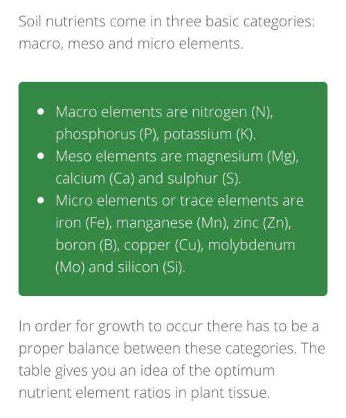 Agri-Boost (3 in 1) 1 Litre : 100% Organic Liquid Fertiliser - Provide 200Lt of Nutrient Plant Food