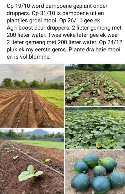 Agri-Boost Organic - 5 Litre Liquid Fertiliser Provide 1,000Lt of Plant Food to irrigate 1 X Ha