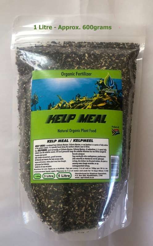 KELP MEAL *SPECIAL*  3 X Litre Organic Natural Fertiliser : (Approx. 1.8Kg)