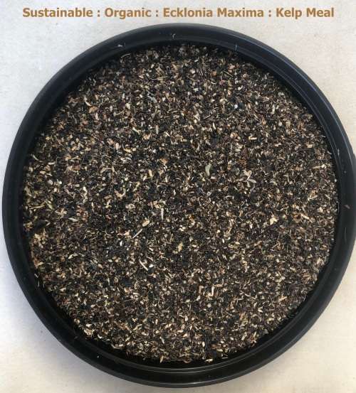 KELP MEAL *SPECIAL*  6 Litres of Fine Organic Natural Fertiliser : (Approx. 4.5Kg)
