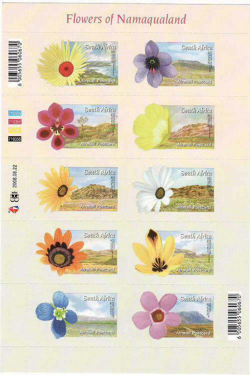 Flowers of Namaqualand Full Sheet!