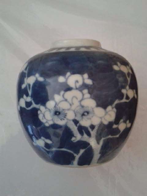 Chinese Blue and white Prunus Ginger jar Double rings