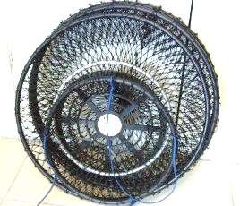 KEEP- NET