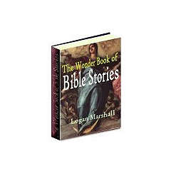 THE WONDER BOOK OF BIBLE STORIES