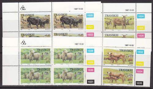 CONTROL BLOCK/S - AS PER SCAN - TRANSKEI MNH