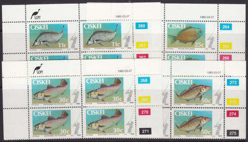 CONTROL BLOCK/S - AS PER SCAN - CISKEI MNH
