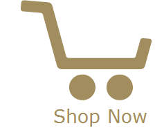shop.dashcamsa