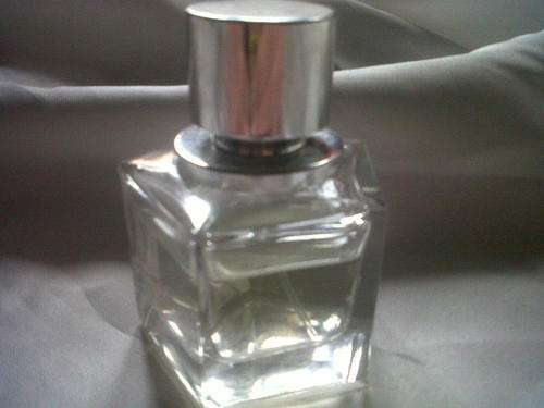 First on BOB  Celine Dion Perfume