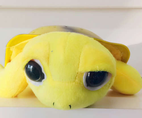 TWILIGHT TURTLE MERRY HELPING KIDS SLEEP