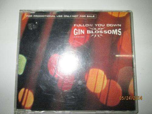 Gin Blossoms - Follow You Down