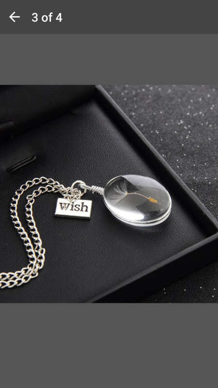 New & Unique - 925 Sterling Silver Chain Dandelion Wish Real Flower Pendant