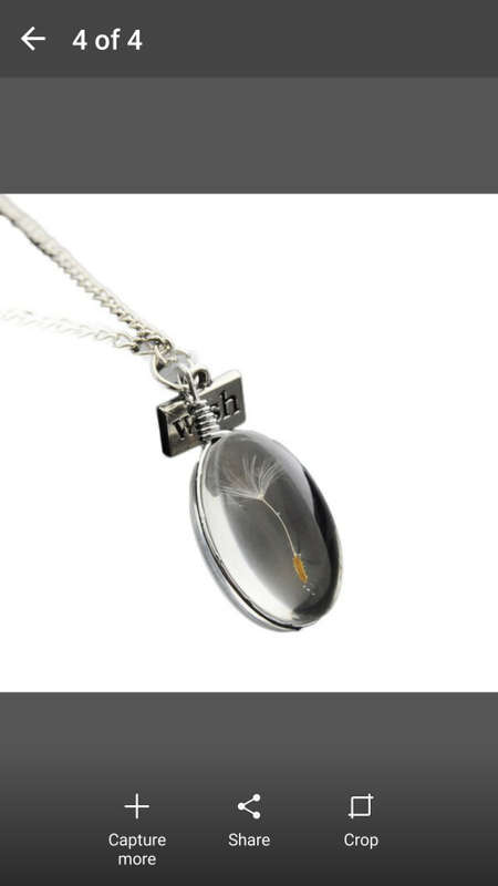 New & Unique - 925 Sterling Silver Chain Dandelion Wish Real Flower Pendant