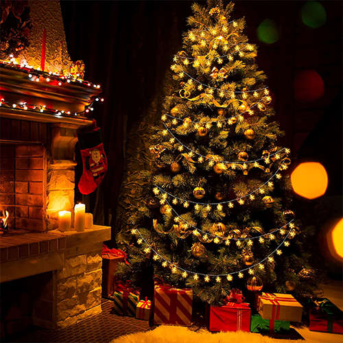 5M Light String Snowflake Shape Light String