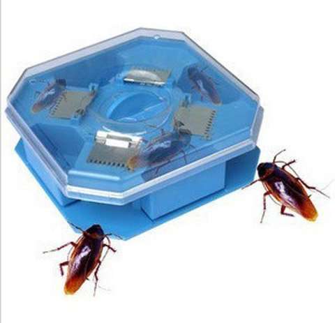 NEW!!! { COCKROACH TRAP} {CRAZY START} GET RID OF COCKROACHES FOREVER!!!