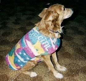PET CLOTHING