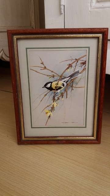 Framed Basil Ede: Great Tit & Forsythia