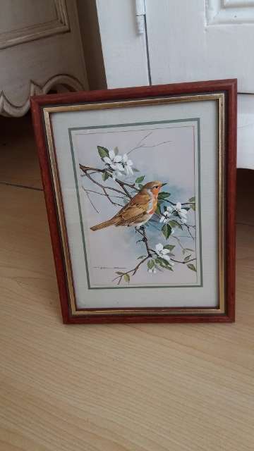 Framed Basil Ede: Robin & Wild Cherry
