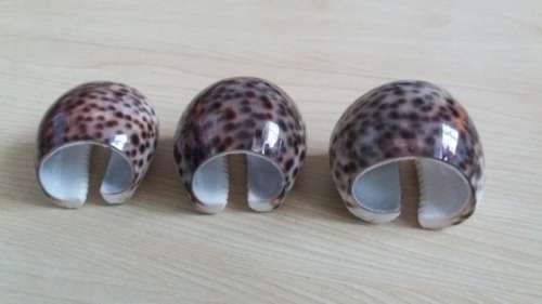 Set of 3 Cowrie Shell Napkin Holders/Rings