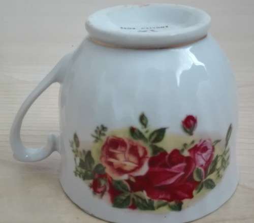 English Rose Cup & Saucer (Regent China)