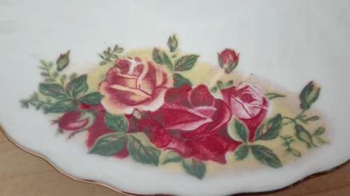 English Rose Cup & Saucer (Regent China)