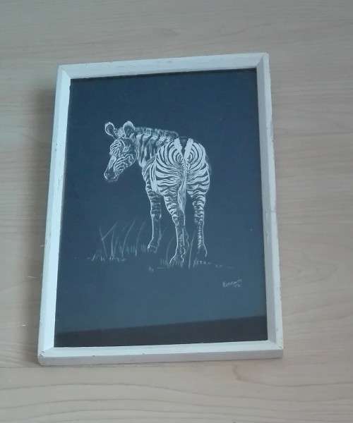 Framed Print: Zebra (Artist: Heggatt)