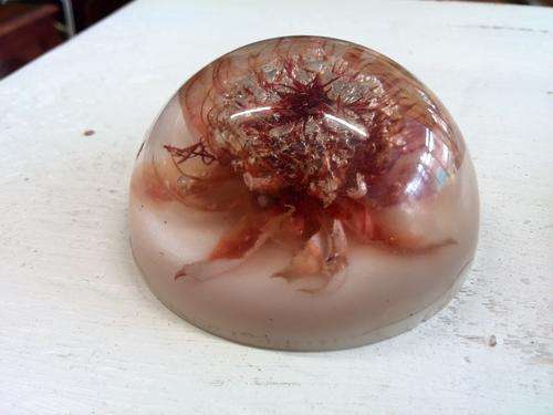 Paperweight