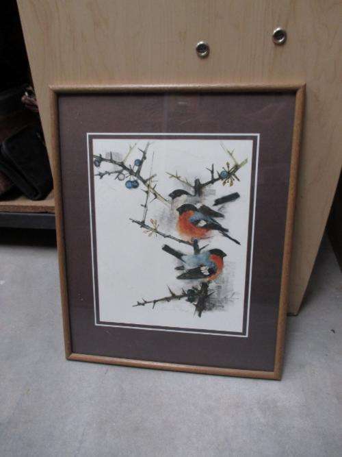 Framed Mads Stage - Birds