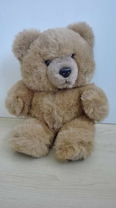 Teddy Bear