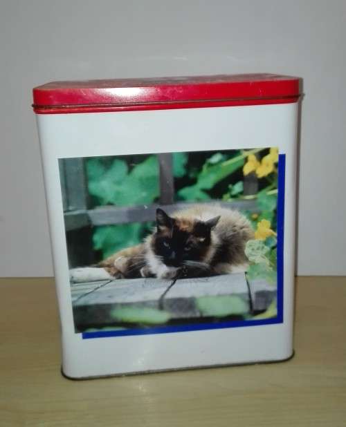 Cat Tin