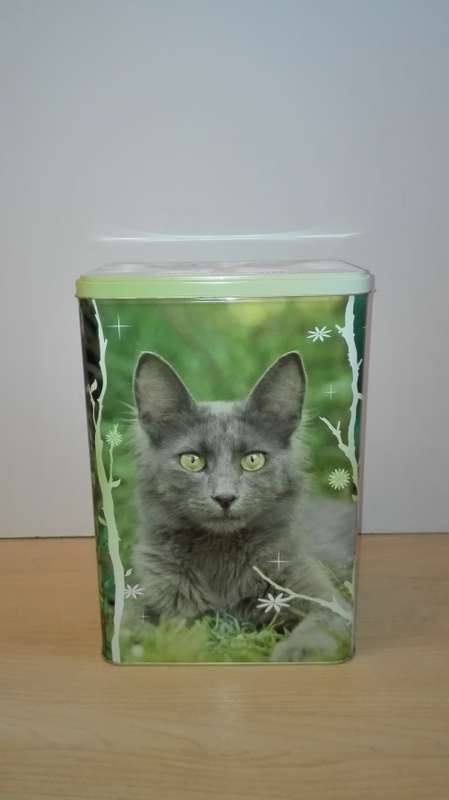 Cat Tin - Empty