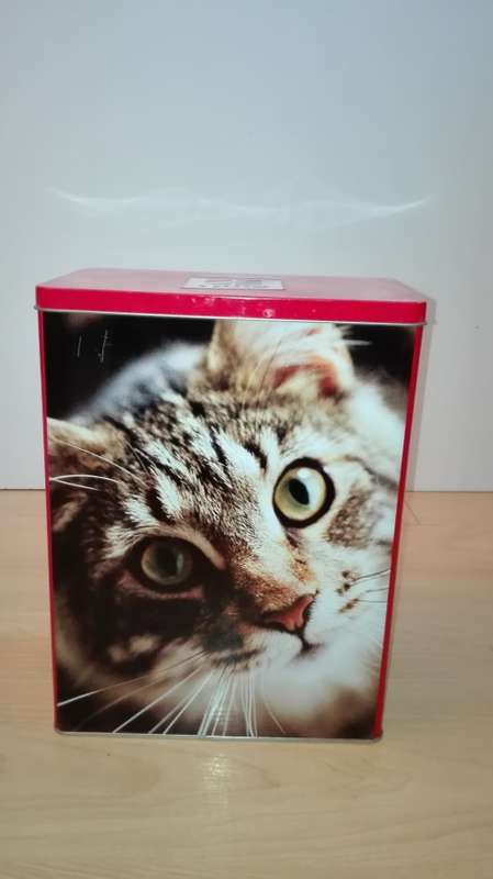Cat Tin - Empty