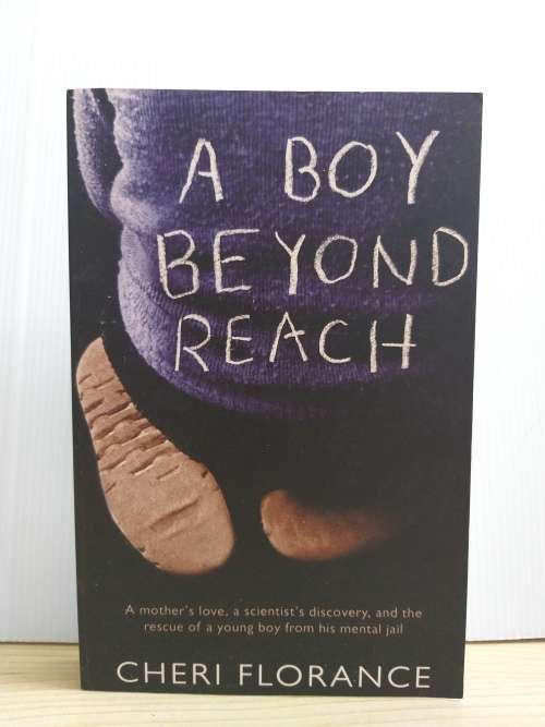 A Boy Beyond Reach by Cheri Florance (Paperback)