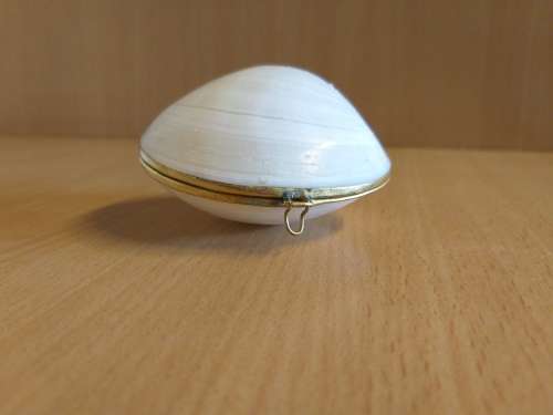 Shell Ring/Jewellery Holder