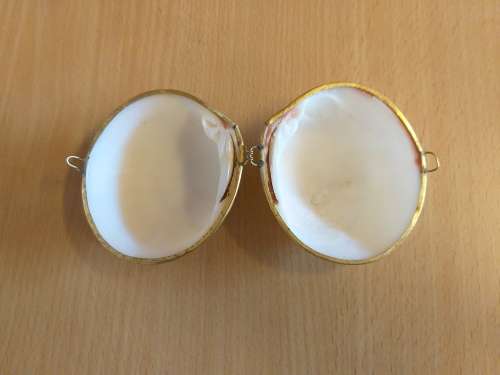 Shell Ring/Jewellery Holder