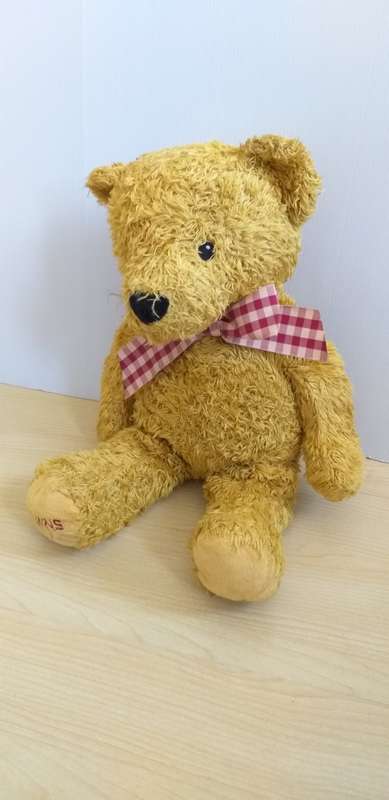 Teddy Bear