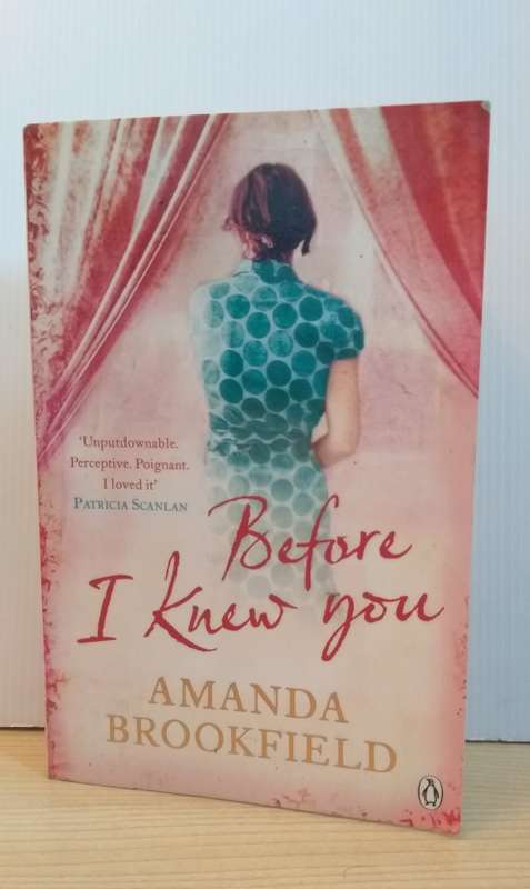 Before I Knew You by Amanda Brookfield (Paperback)