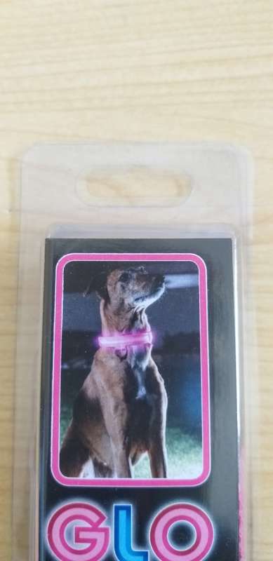 Glo Pets - LED Safety Collar (Small 33cm - 43cm)