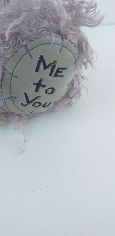Tatty Teddy Bear (From Me to You)