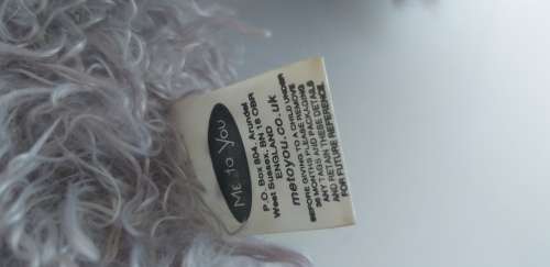 Tatty Teddy Bear (From Me to You)