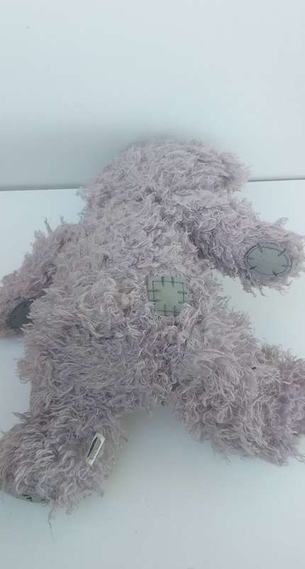 Tatty Teddy Bear (From Me to You)