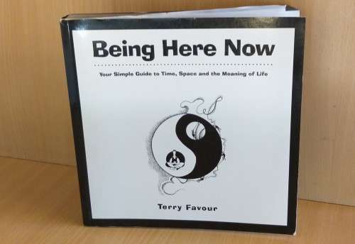 Being Here Now - Your Simple Guide to Time, Space and the Meaning of LIfe: Terry Favour (Paperback)