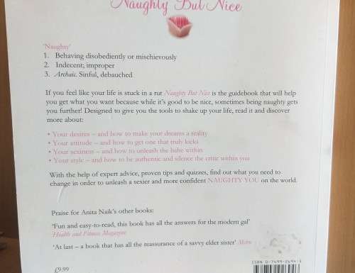 Naughty but Nice  - The no-excuses guide to getting what you want: Anita Naik (Paperback)