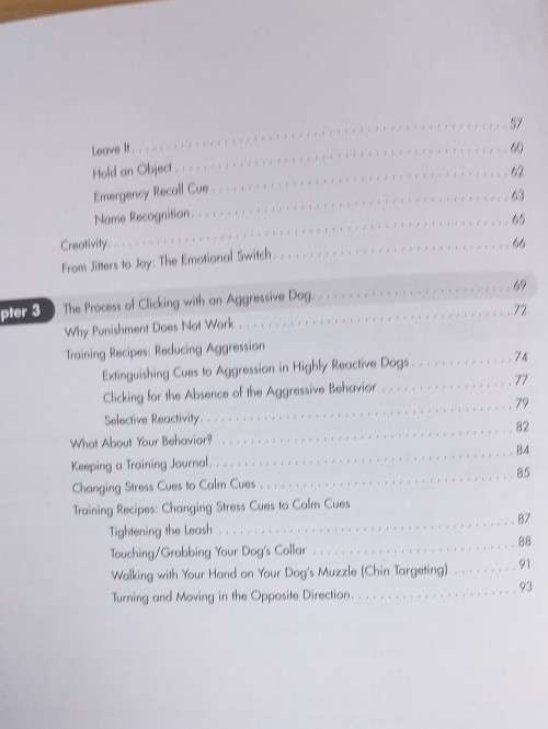 Click to Calm - Healing the Aggressive Dog by Emma Parsons (Paperback)