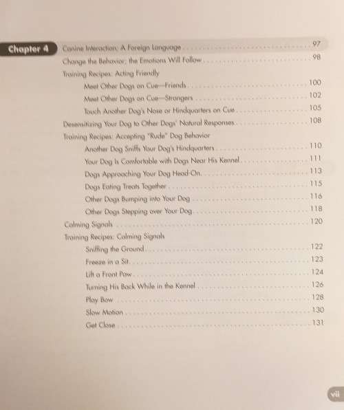 Click to Calm - Healing the Aggressive Dog by Emma Parsons (Paperback)