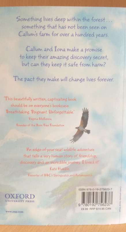 Sky Hawk: Gill Lewis (Paperback)