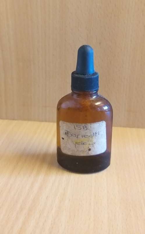 Glass Dropper Ink Bottles