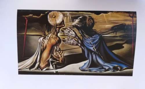 Dali : Robert Descharnes (Hardcover)