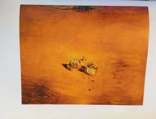 Dali : Robert Descharnes (Hardcover)